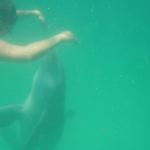 Valerie playing with  one of the Dolphins