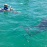 2 of our own children, Jewels and Trevin snorkeling with "Dolphina"
Jewels is only 5 in this picture